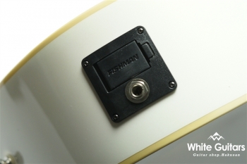 Malibu Player - Arctic Gold